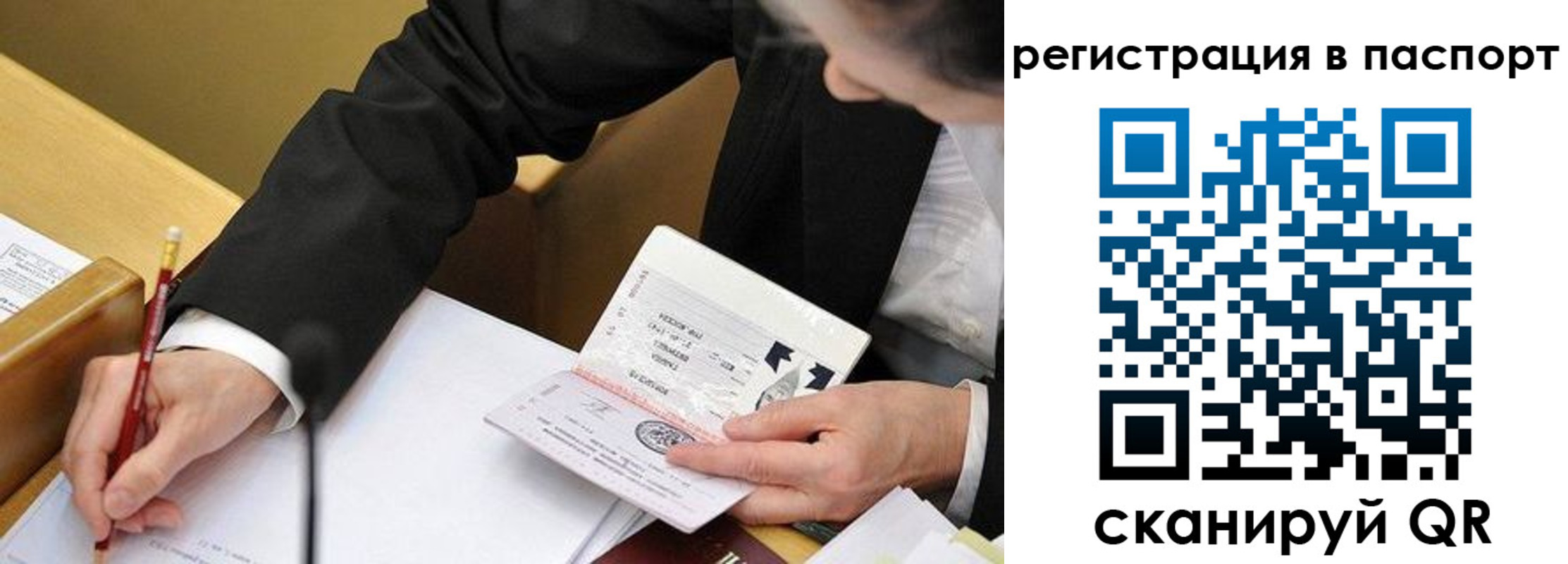 прописка поиск в Шебекино